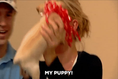 lauren conrad lc GIF by The Hills