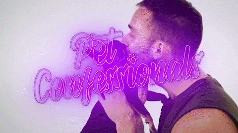 tyroneevansclark giphyupload love cats family GIF