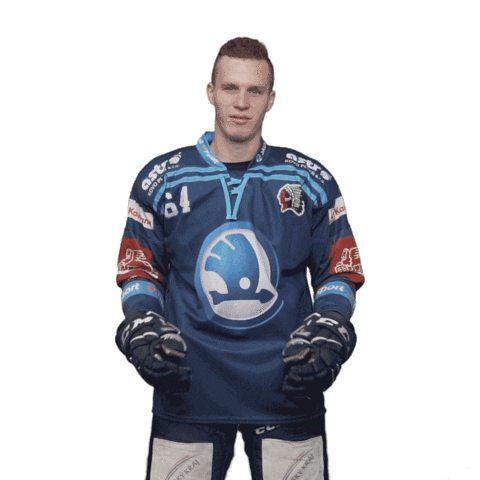 Hockey Thumbs Up Sticker by HC Škoda Plzeň