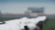 collegeoflakecounty baseball school college education GIF