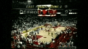 ncalumni chisportsday GIF