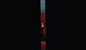 Marina And The Diamonds Butterfly GIF by MARINA