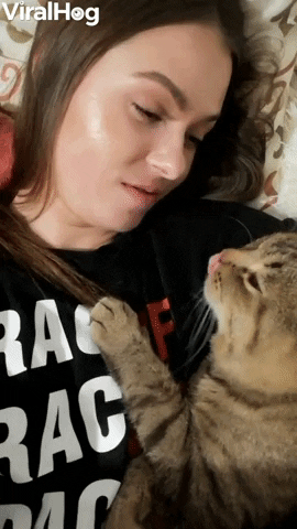 Kitty Cant Get Enough Kisses GIF by ViralHog
