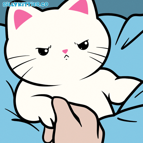 Cats No GIF by Silly Kitties