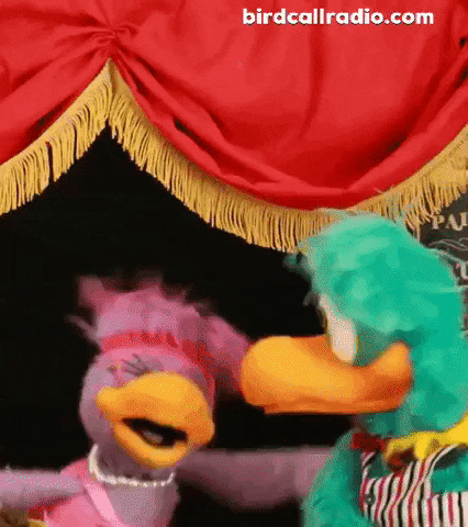 BirdCallRadio dance dancing laugh bye GIF