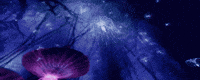 avatar GIF