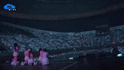 Taiwan Taipei GIF