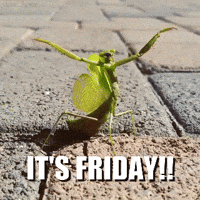 Friday Guy GIF