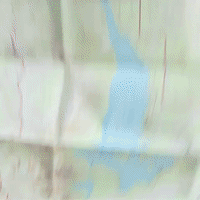 Look Around Forest GIF by Four Rest Films