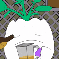 Drunk Over It GIF by Magic Eden