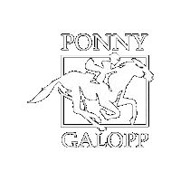 Jockey Horseracing Sticker by Svensk Galopp