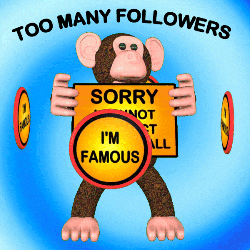 Monkey Influencer GIF