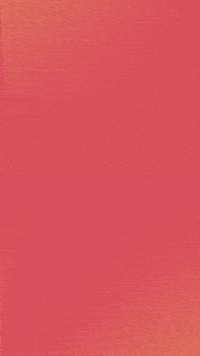Bald Eagle GIF