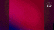 Granhermanovip GIF by Mediaset España