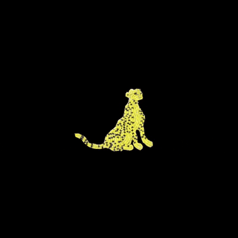 Leopard Mote GIF by Mote--Mote