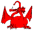 dragon STICKER