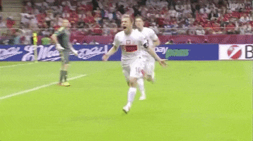 Euro 2012 Football GIF by UEFA