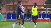 selecao brasileira fred GIF by Confederação Brasileira de Futebol