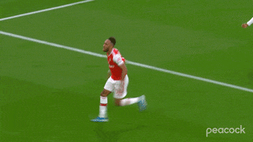 Premier League Soccer GIF by PeacockTV