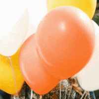 Party Celebrate GIF by Jasmine Star