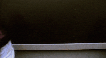 flanderscompany ninja kevin discretion flanderscompany GIF