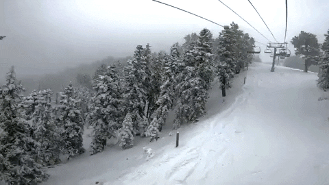 mthigh giphygifmaker GIF