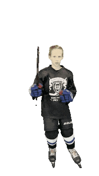 Hockey Sticker by ledoritulys.lt