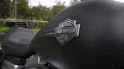 Riders_Point motorcycle biker harley sons of anarchy GIF