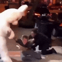 Easter Bunny GIF by Respective