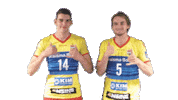 Volleyball Sticker by Draisma Dynamo