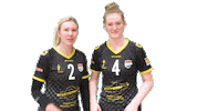 Volleyball Sticker by Draisma Dynamo