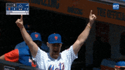 Excited Major League Baseball GIF by New York Mets