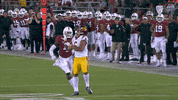 Football Michael GIF by Pac-12 Network