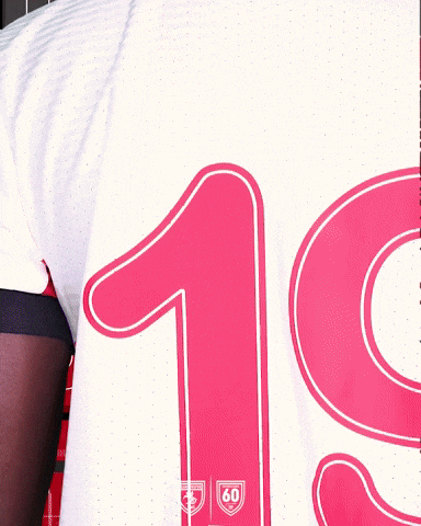 King Of The North GIF by SAMSUNSPOR