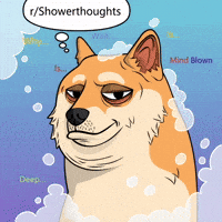 Shiba Inu Mind Blown GIF by Doge Pound