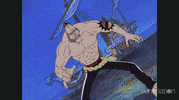 one piece punch GIF by Funimation