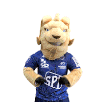 Stretching Lets Go Sticker by FCG Rugby