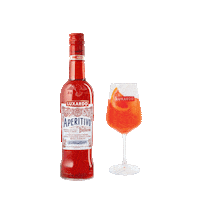Granikal aperitivo spritz luxardo pinkspritz Sticker