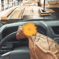 ancientmakar48 holy ave kacpi avepark GIF