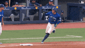 Celebrate Home Run GIF by Toronto Blue Jays