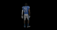 Football Sport GIF by Detroit Lions