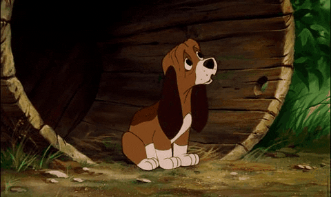 the fox and the hound disney GIF