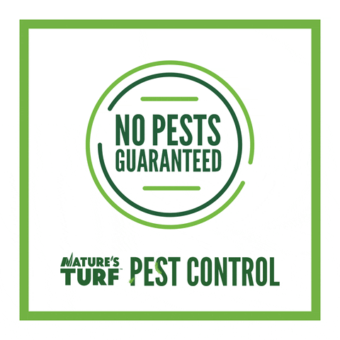 NaturesTurf giphyupload pestcontrol GIF