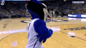 billy bluejays GIF by Creighton University Athletics