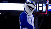 Billy Bluejay GIF by Creighton University Athletics