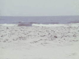 High Heels Beach GIF by Beastie Boys