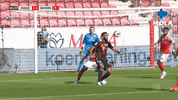 Bayern Munchen Reaction GIF by MolaTV