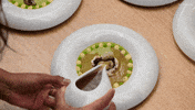 Australia GIF by MasterChefAU