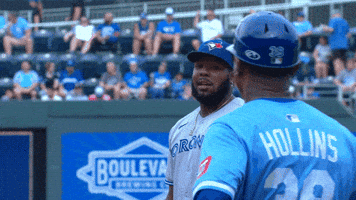 Blue Jays Baseball GIF by Toronto Blue Jays