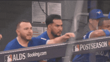 Celebrate Lets Go GIF by Toronto Blue Jays